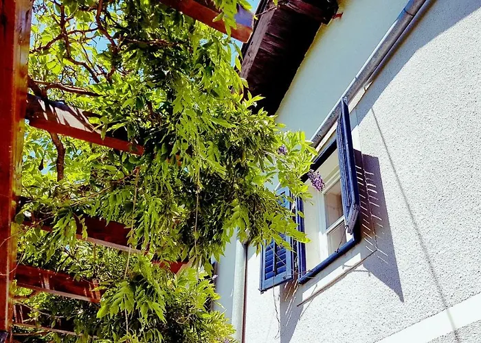 Apartamento Panoramic *