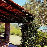 Panoramic *