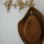 Panoramic * لوفغان