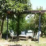 Panoramic لوفغان