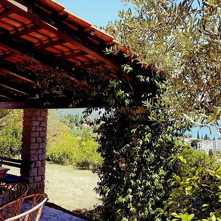 Panoramic *