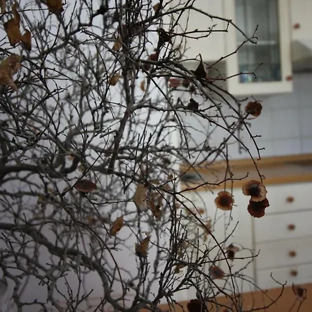 Panoramic アパート ロヴラン