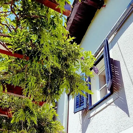 Lägenhet Panoramic *