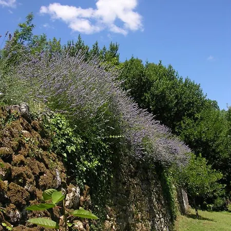 Panoramic Lejlighed *