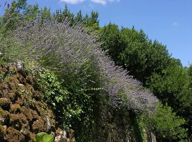Panoramic Διαμέρισμα *